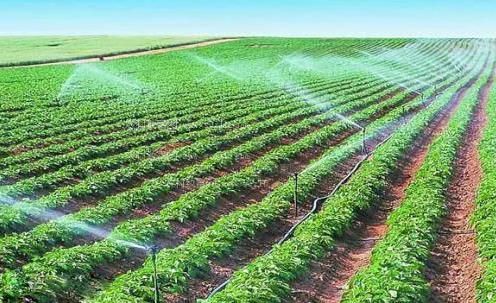 大鸡巴插入的软件农田高 效节水灌溉